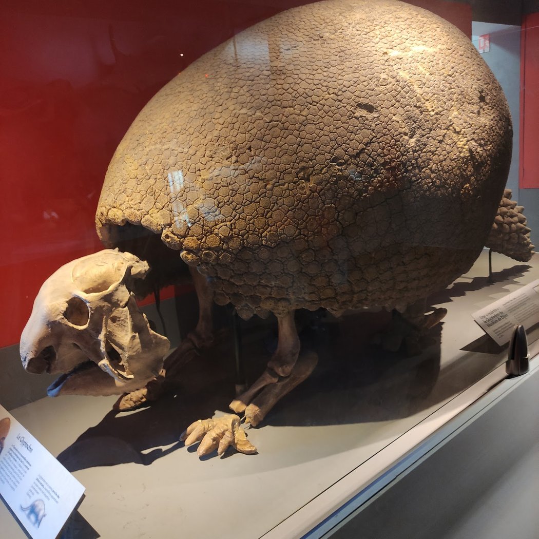 Natural History Museum 2